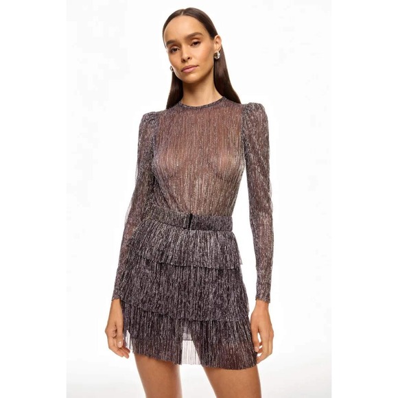 Sabina Musayev Monique Dress Sheer Metallic Purple Tiered Mini Long Sleeve Sz S - Picture 1 of 14